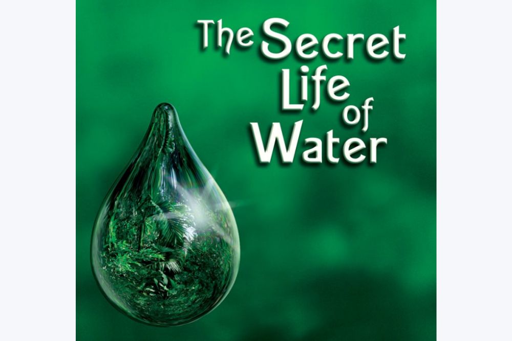 The Secret Life of Water (by Masaru Emoto) Book Review