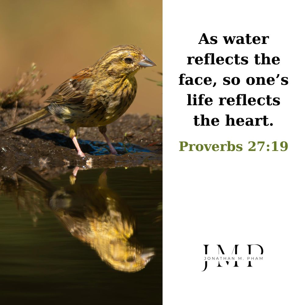 mirror self reflection quotes