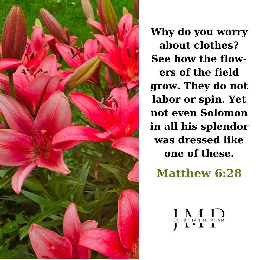 see how the flowers of the field grow