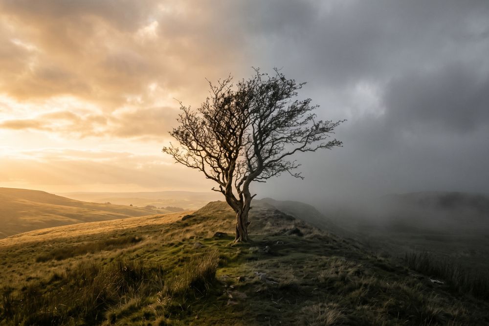 Are Humans Inherently Good or Evil? A Journey Beyond the Binary