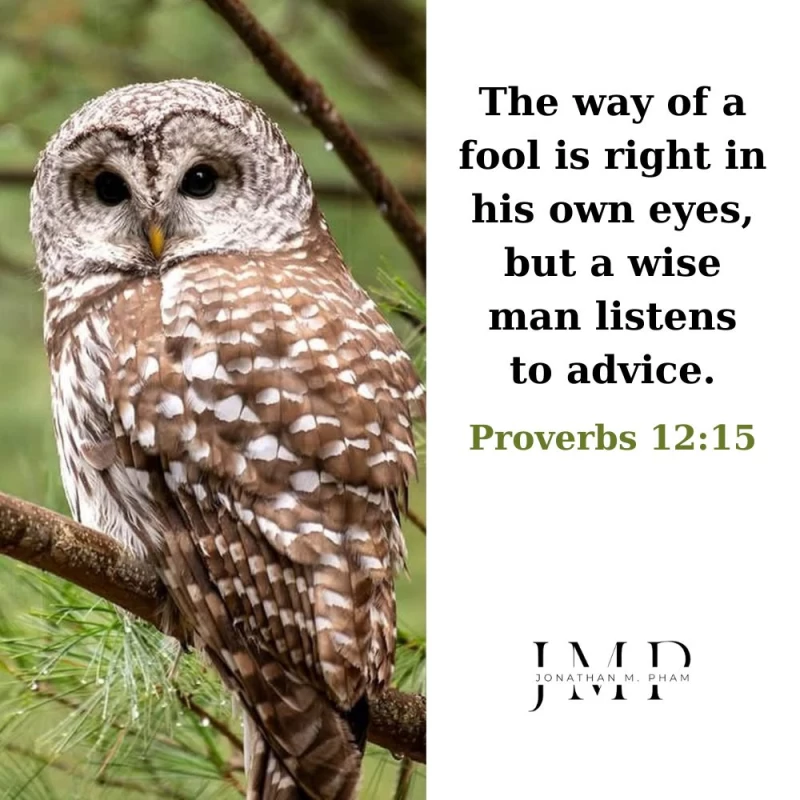 a wise man listens to advice growth mindset quotes