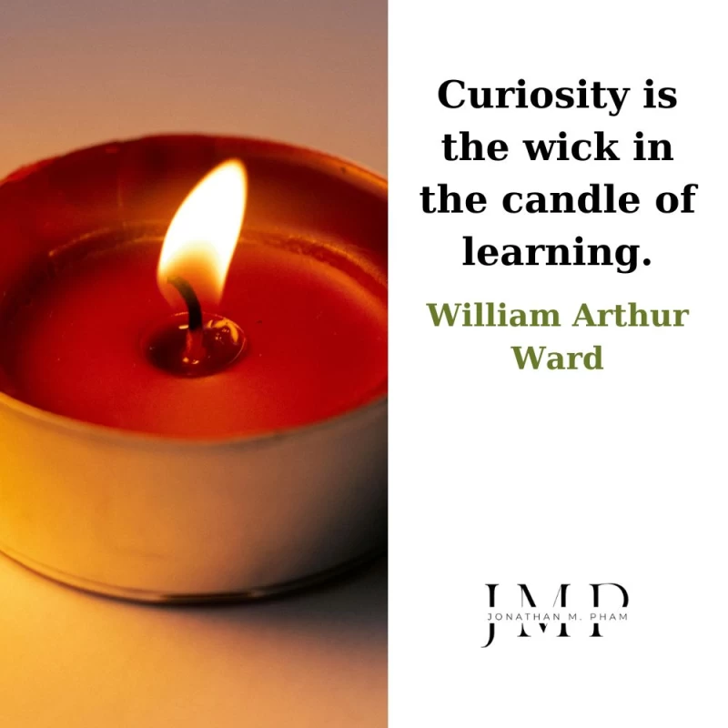 curiosity is the wick in the candle of learning
