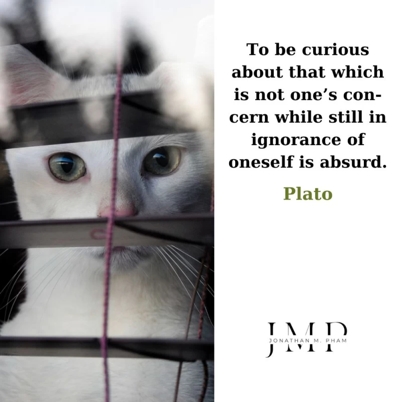 curious about others while in ignorance of oneself