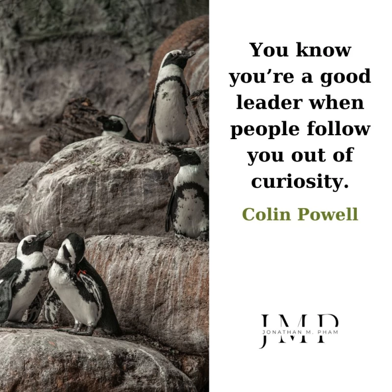 good leader people follow you out of curiosity