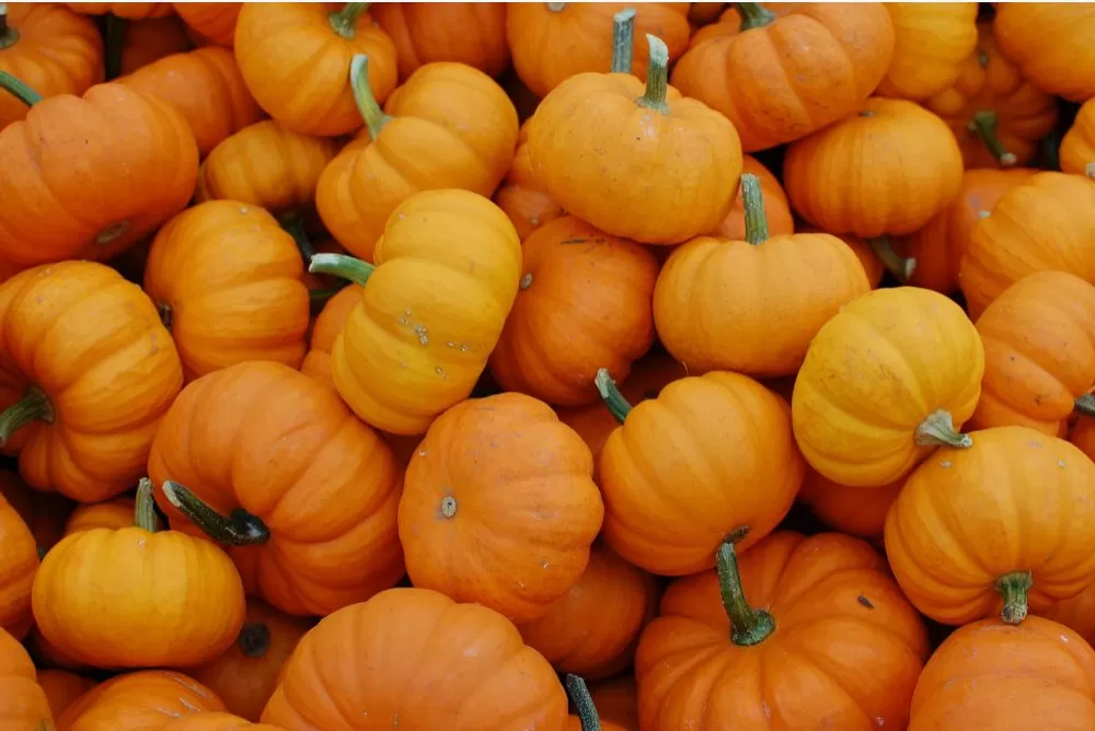 October 2024
