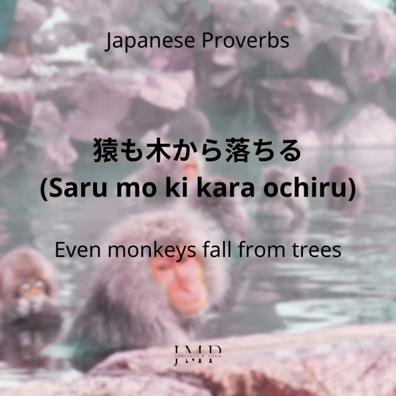 saru mo ki kara ochiru