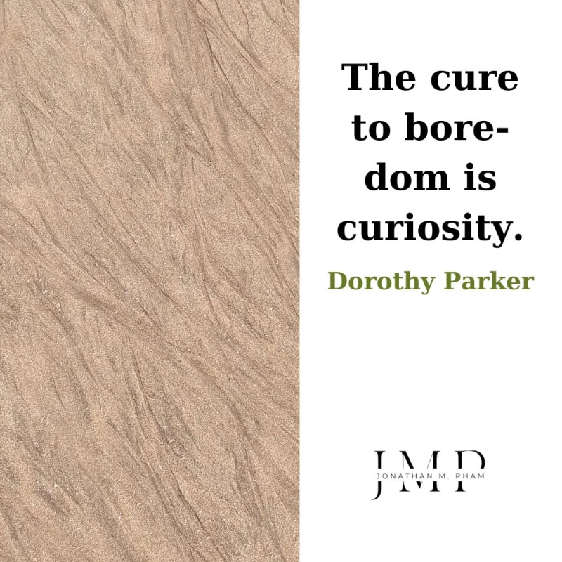 the cure to boredom is curiosity