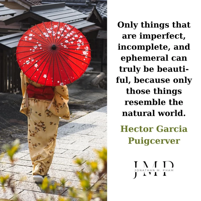 what is imperfect is beautiful