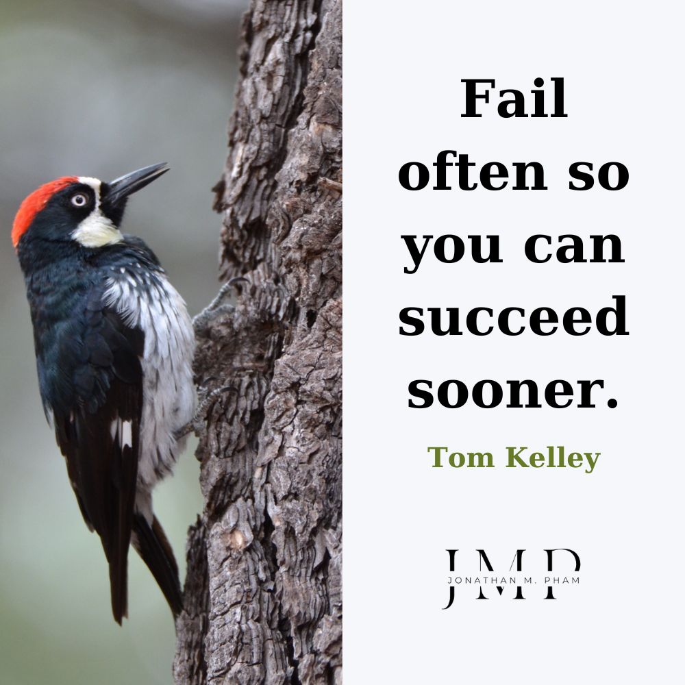 Fail often so you can succeed sooner