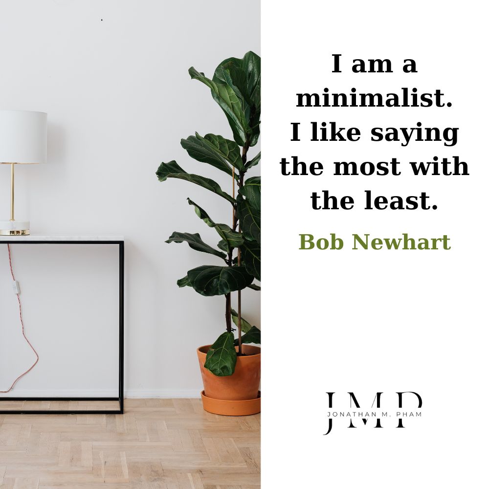 i am a minimalist i like saying the most with the least