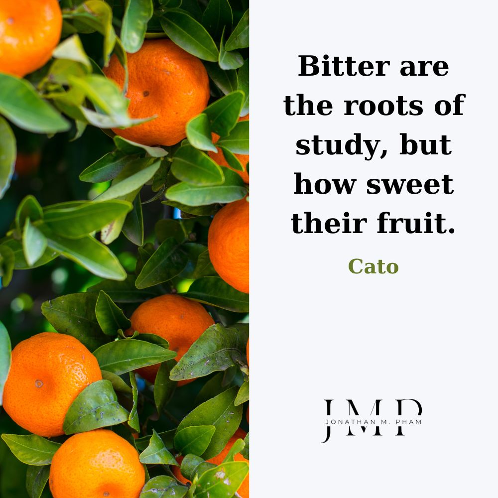 stoic philosophy quotes