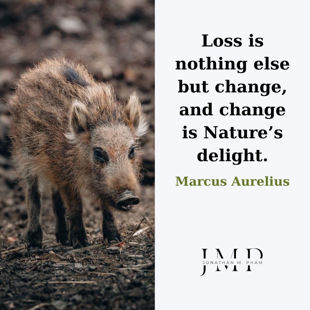 stoic quotes on new beginnings