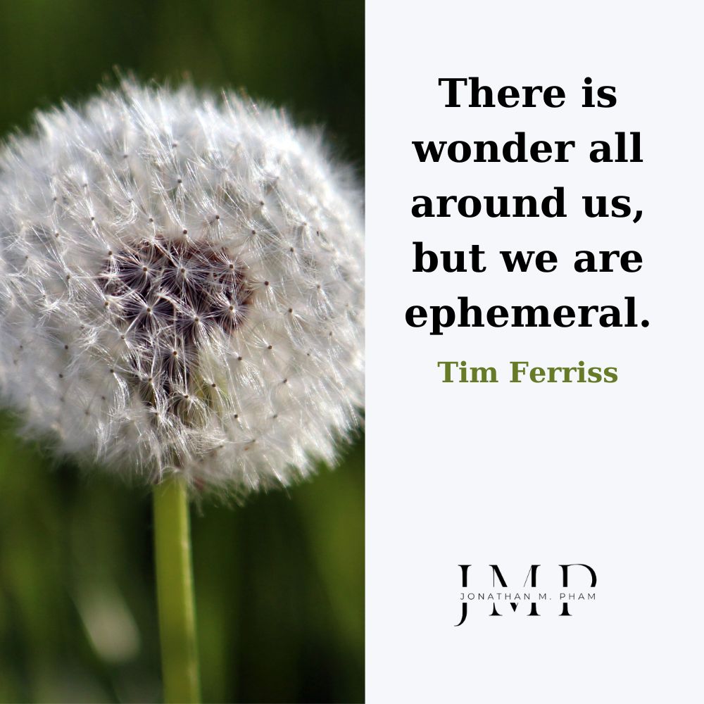 we are ephemeral quote
