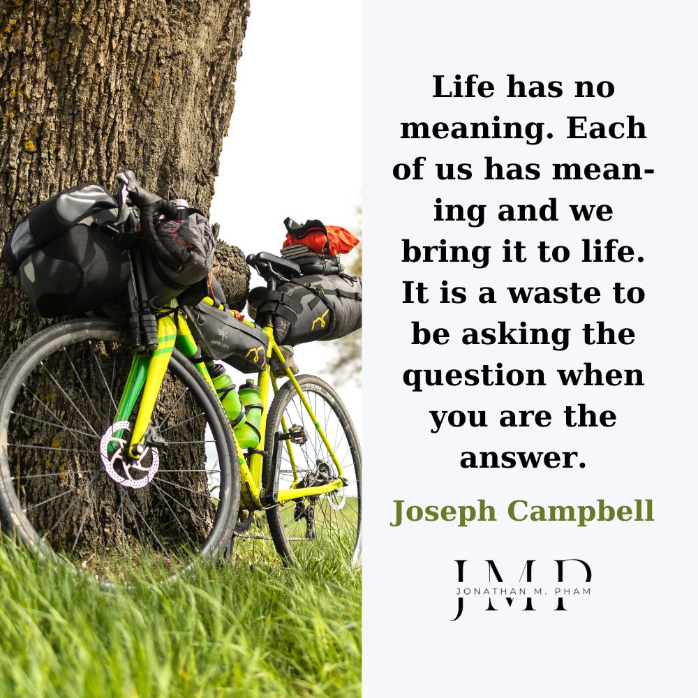 life has no meaning quotes