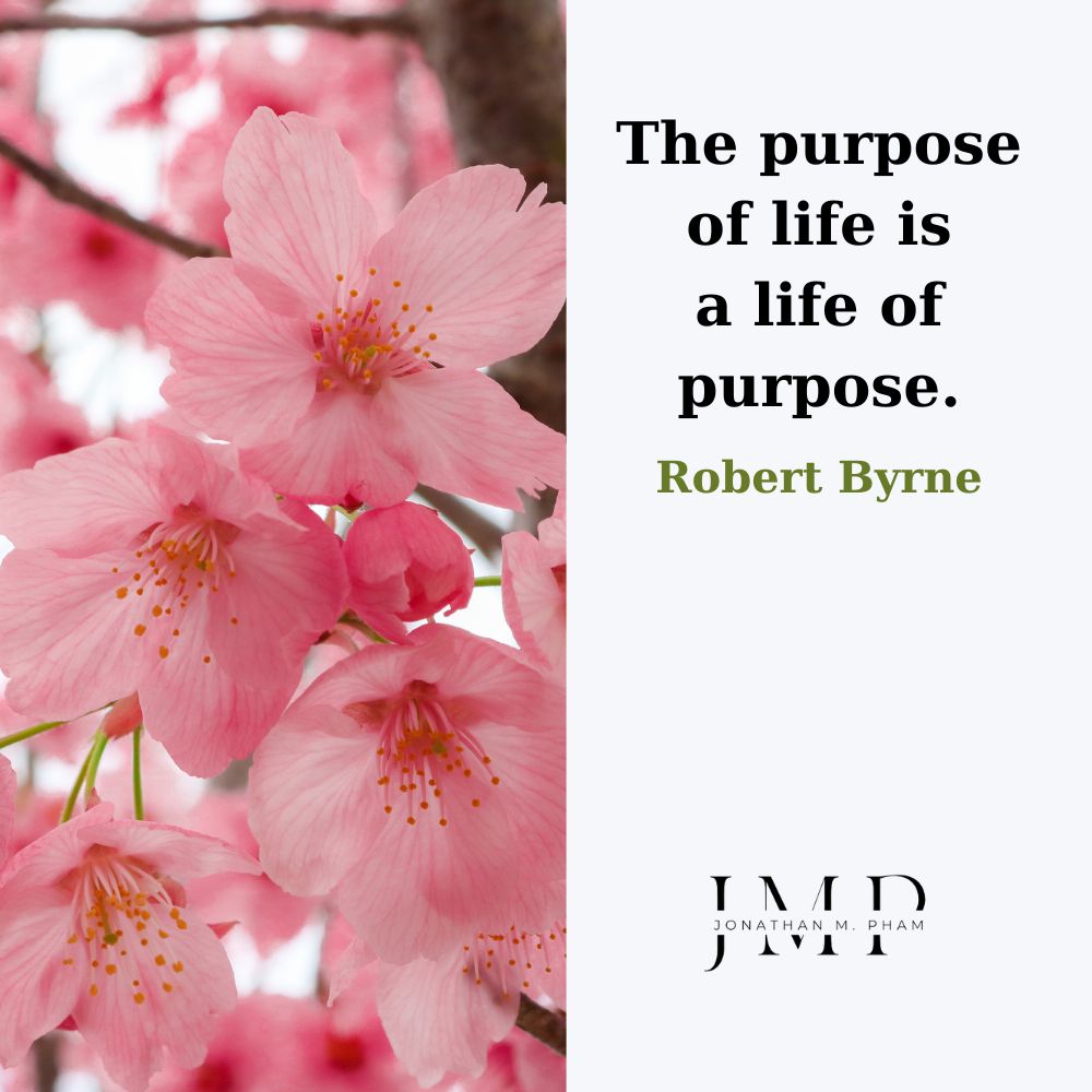 the purpose of life is a life of purpose
