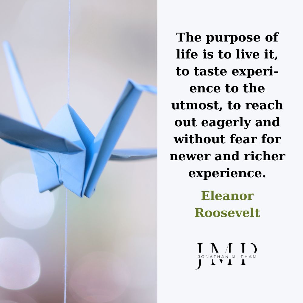 the purpose of life is to live it
