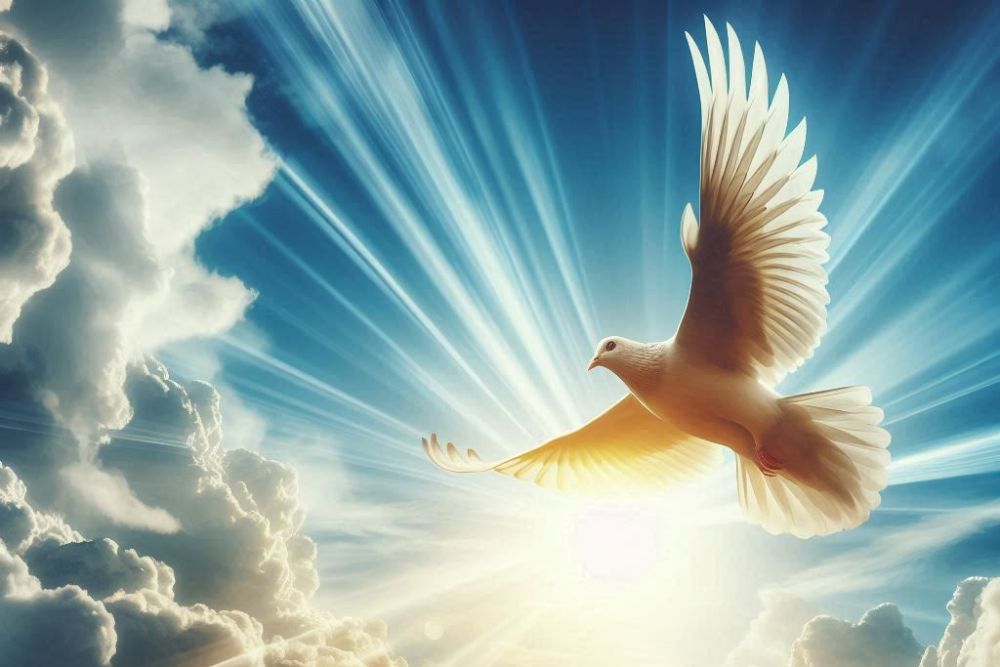 freedom