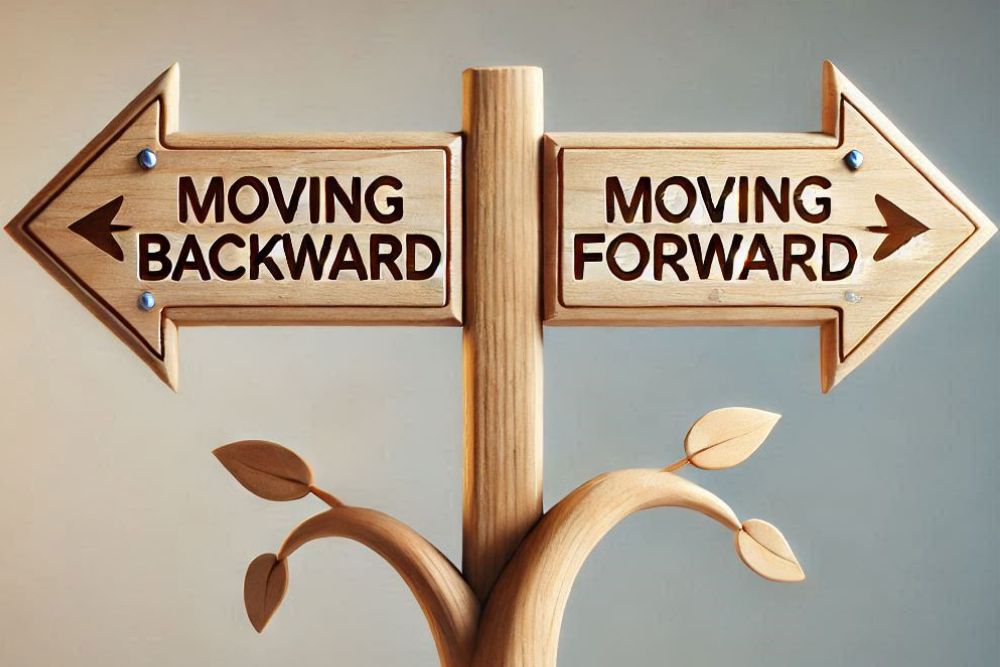 feedforward