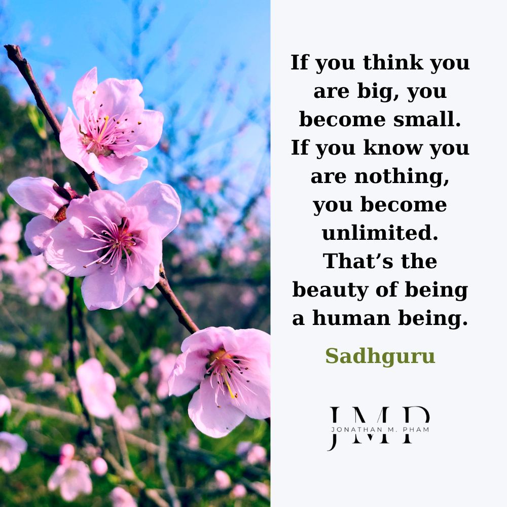 ego vs identity quote