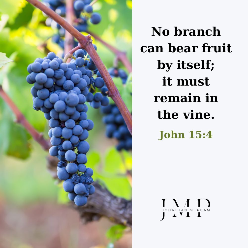 no branch can bear fruit by itself