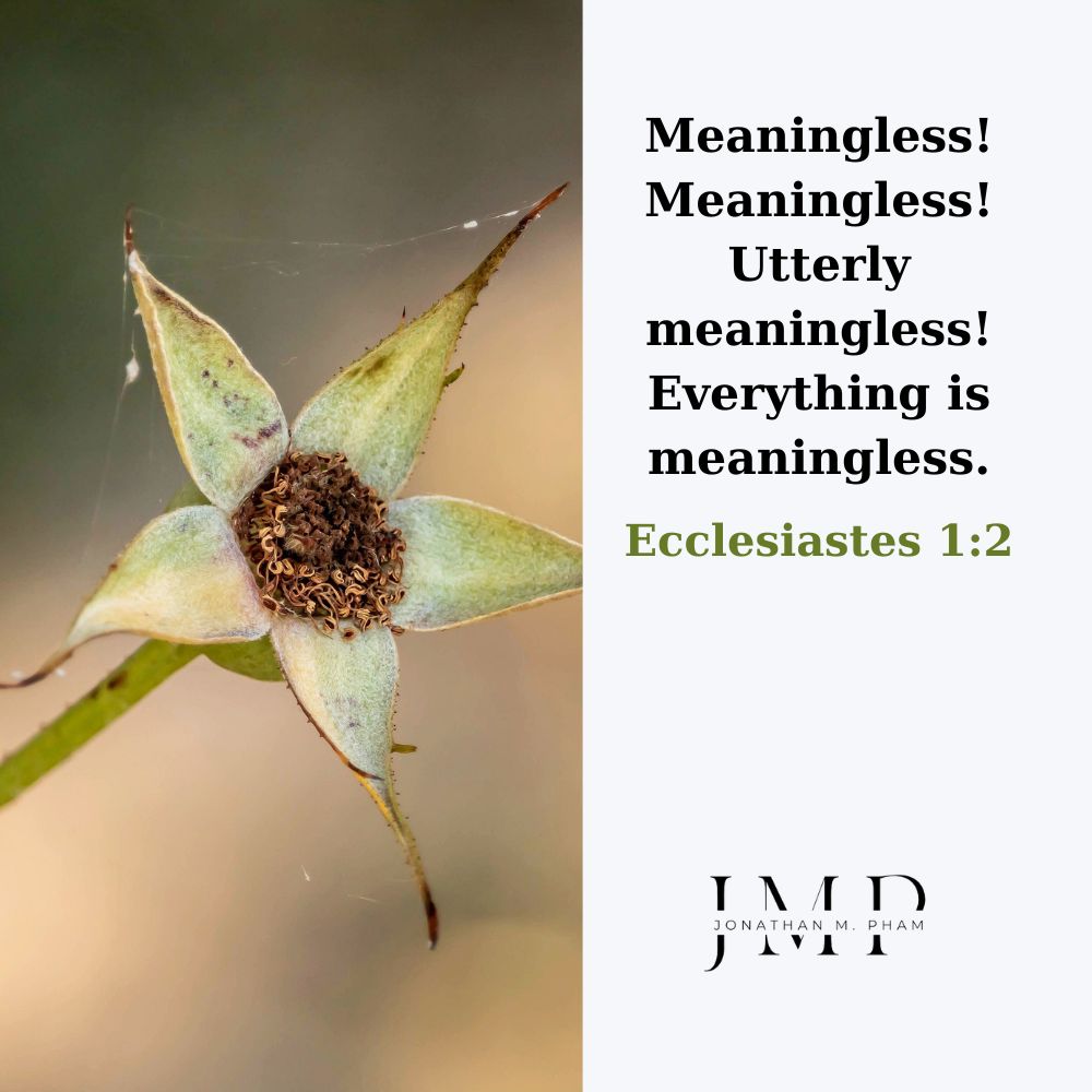 everything is meaningless