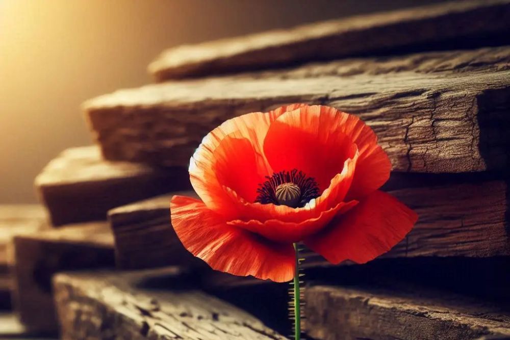 finding meaning in suffering