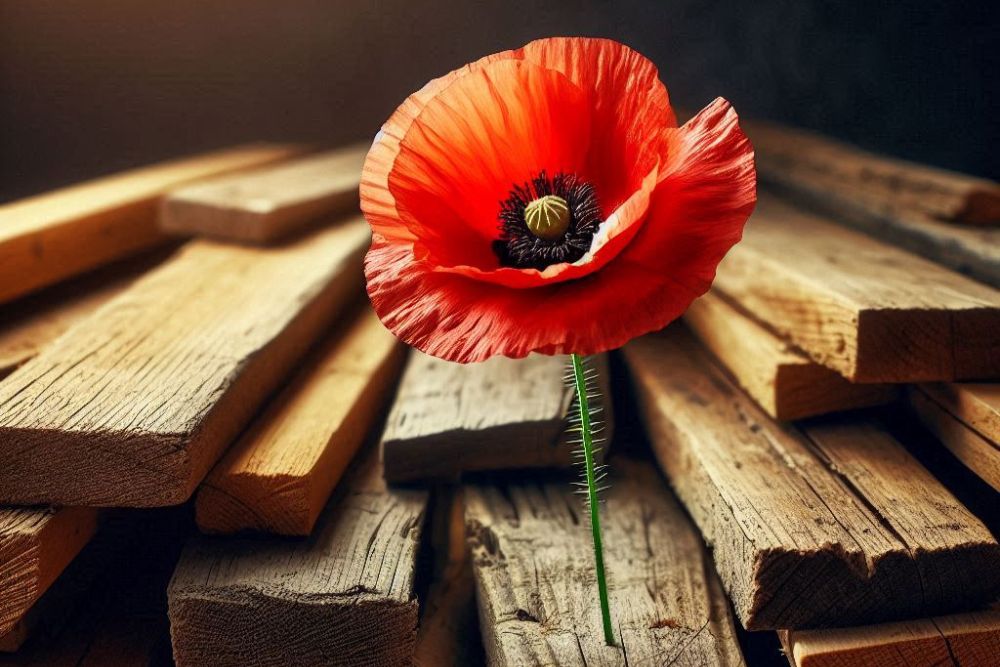 finding meaning in suffering