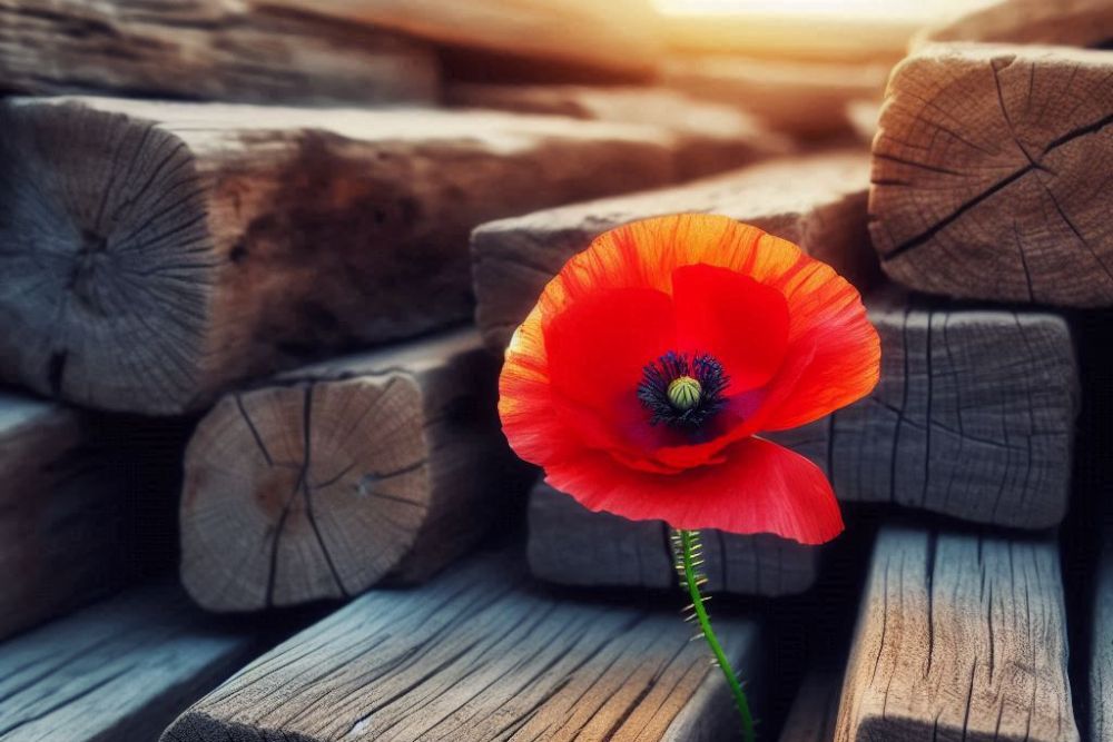 finding meaning in suffering