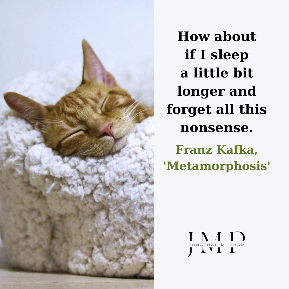 funny existential quotes