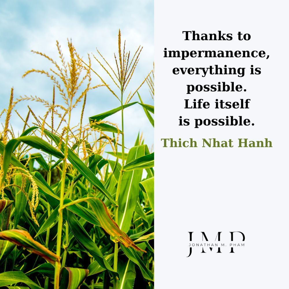 thanks to impermanence everything is possible