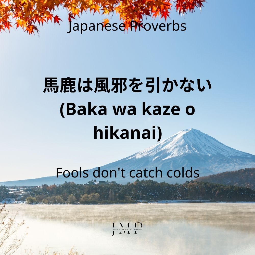 japanese quote baka wa kaze o hikanai