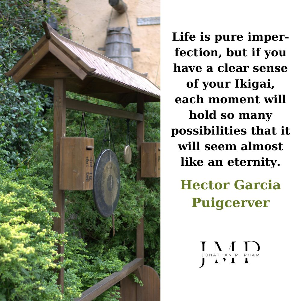 aesthetic ikigai quotes