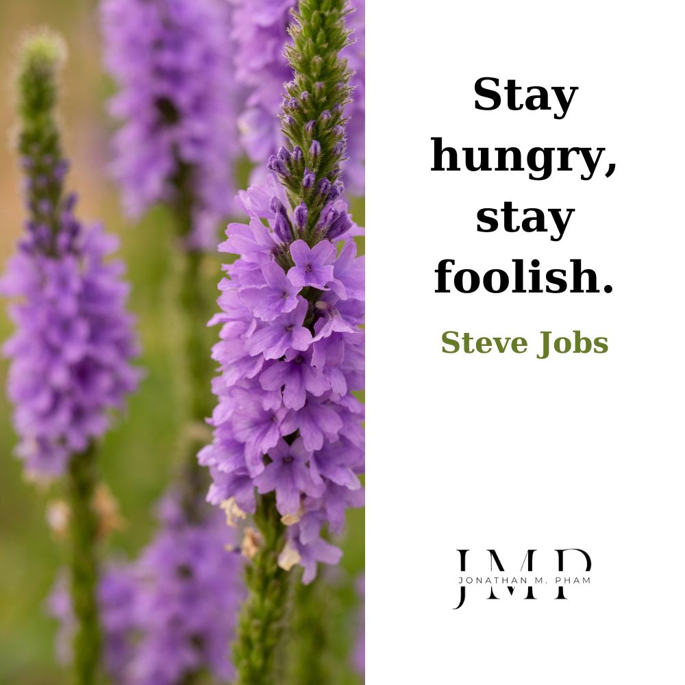 stay hungry stay foolish