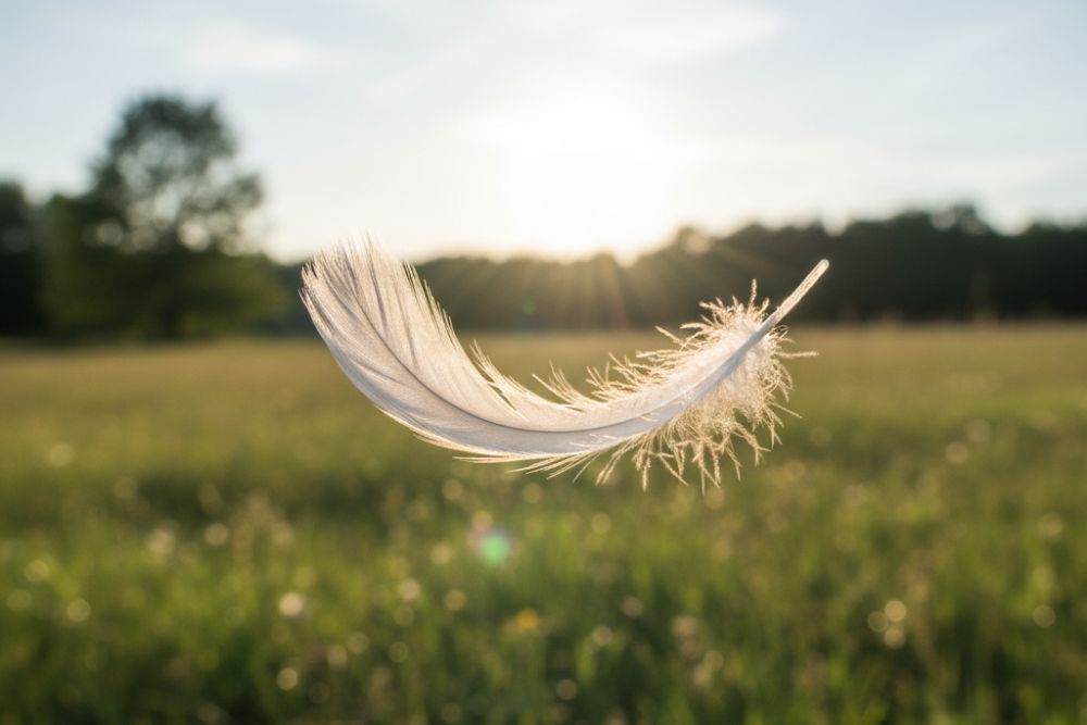 embracing uncertainty in life