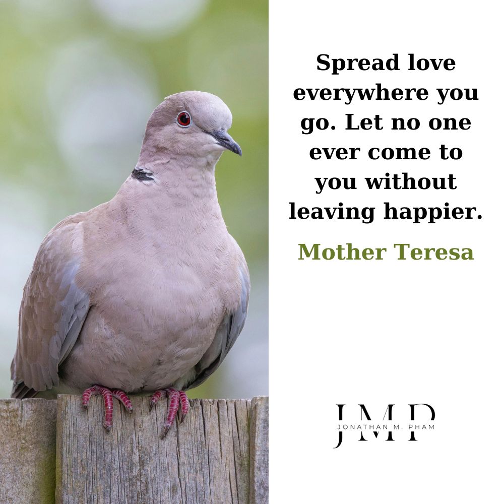 spread love everywhere you go