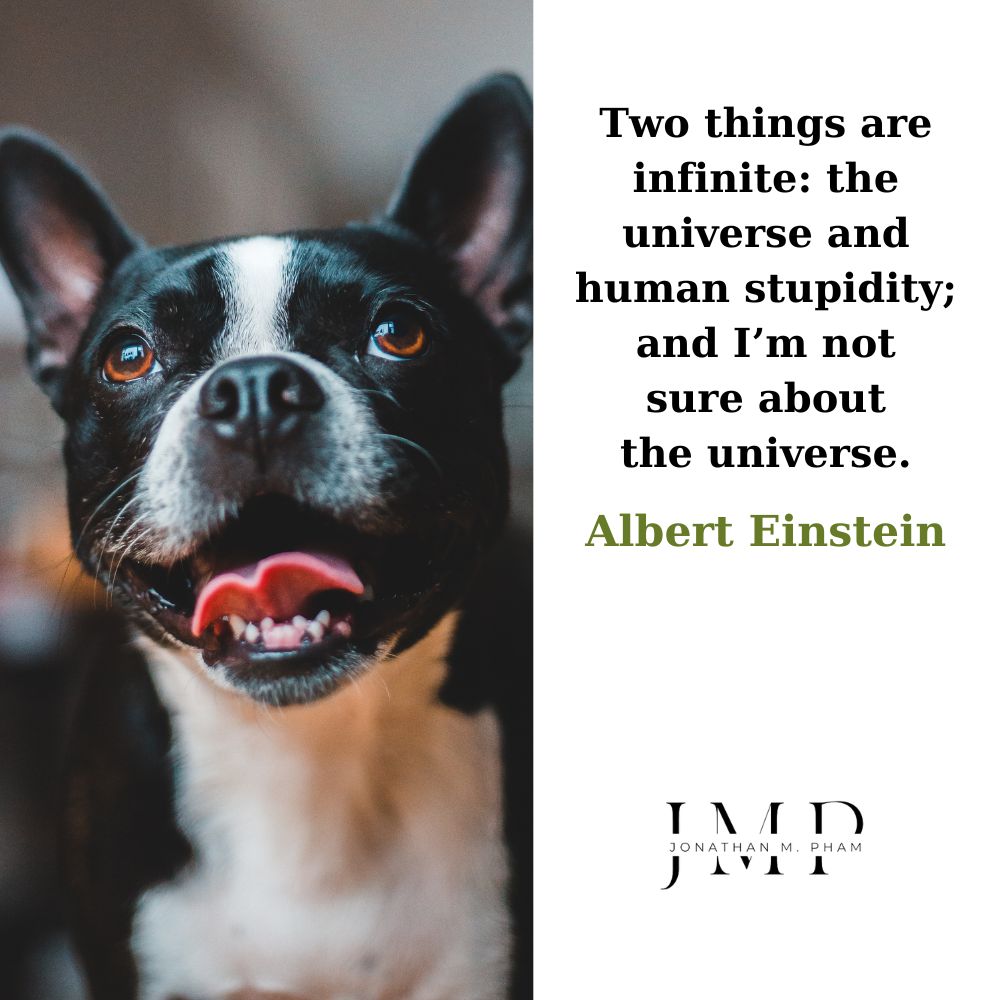 the universe and human stupidity