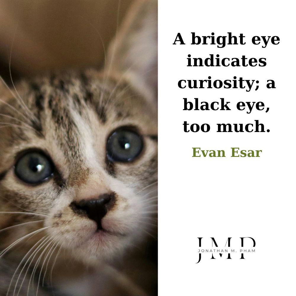 bright eye indicates curiosity black eye too much