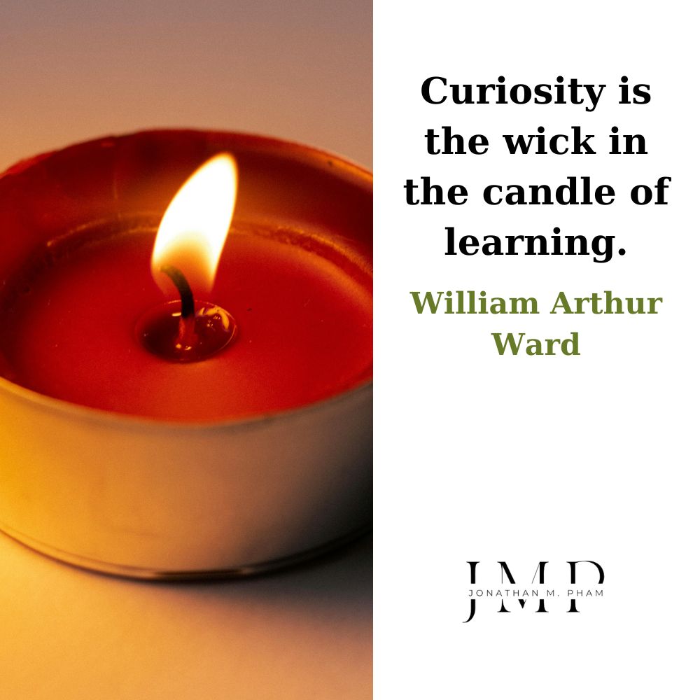 curiosity is the wick in the candle of learning