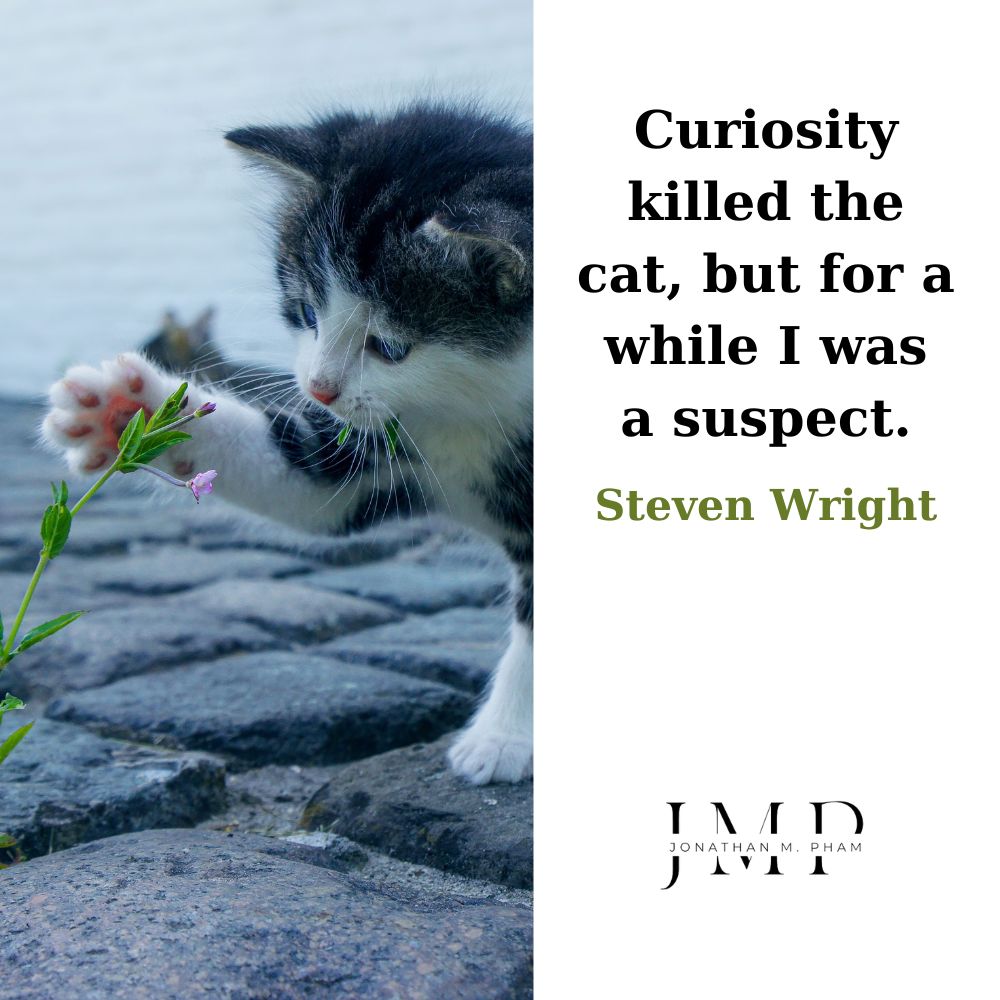 curiosity killed the cat