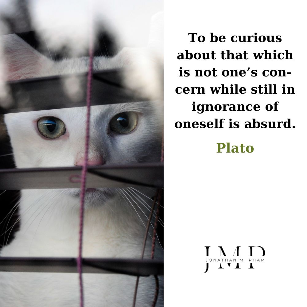 curious about others while in ignorance of oneself