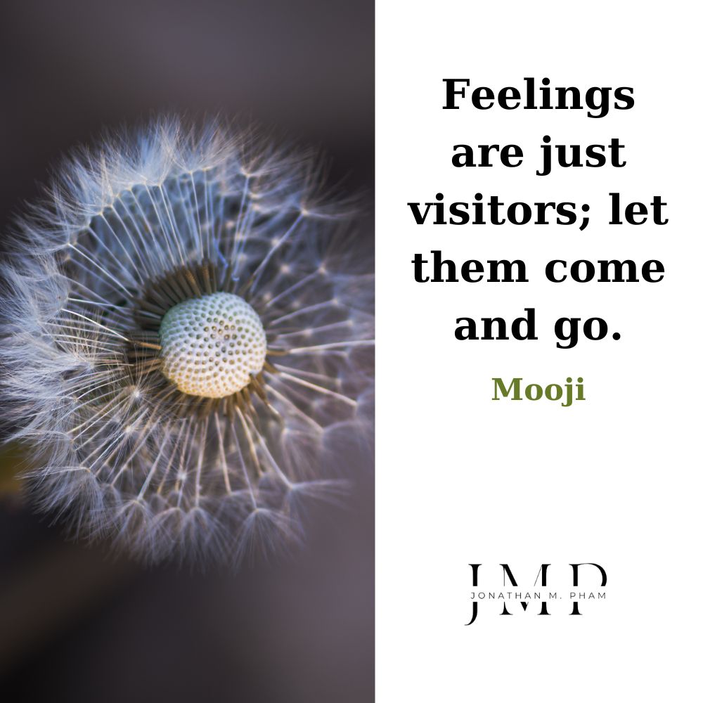 feelings are just visitors