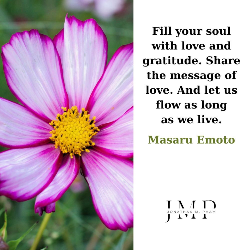 fill your soul with love and gratitude