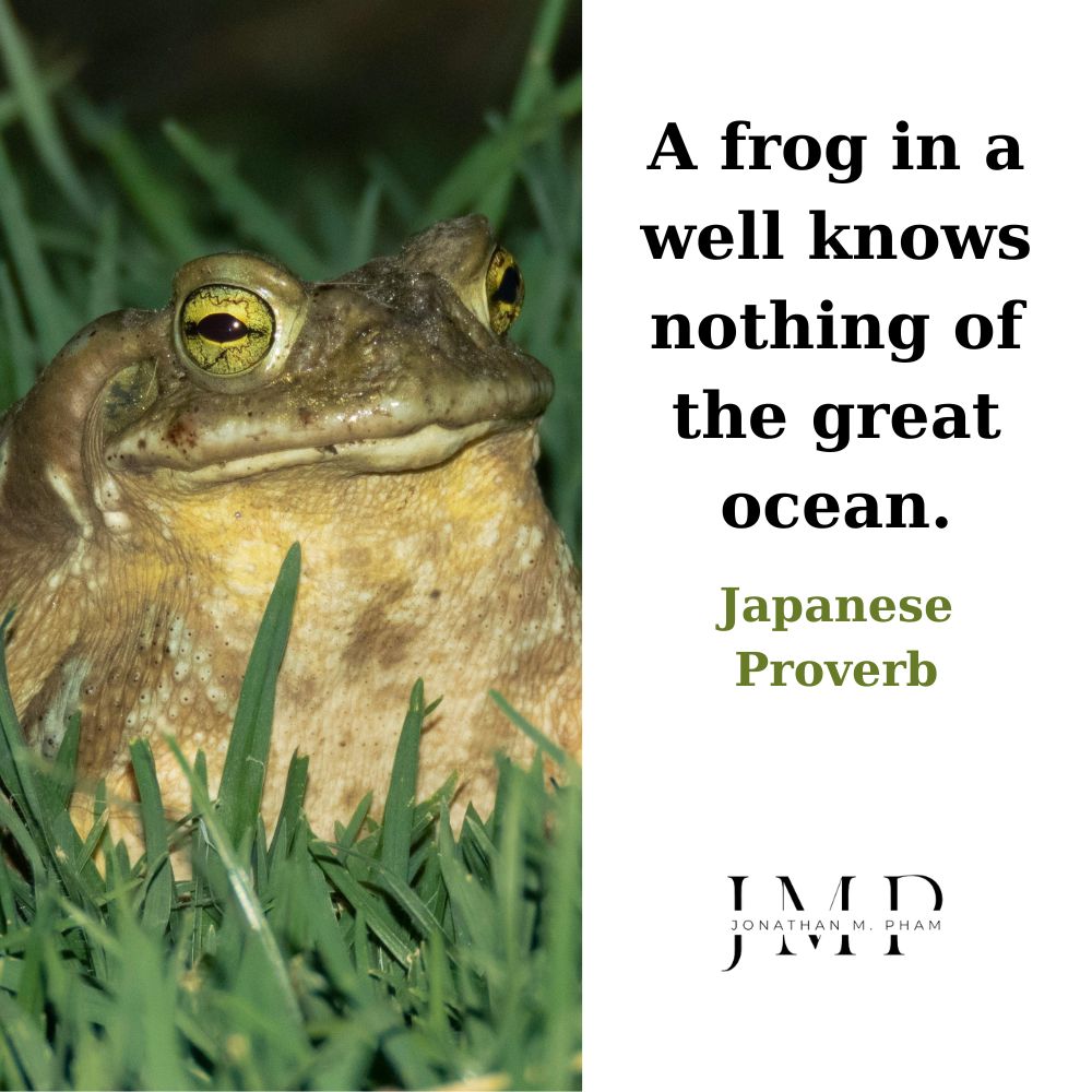 frog in a well knows nothing of the ocean