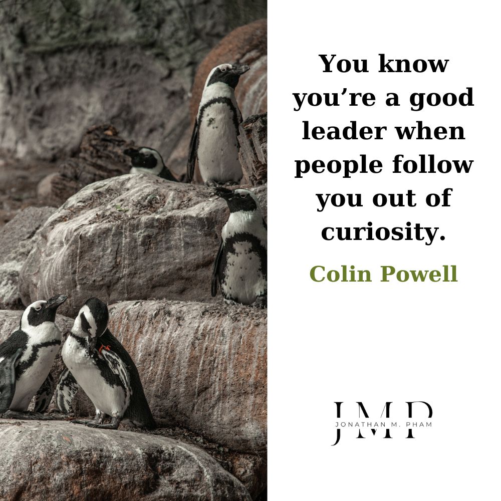 good leader people follow you out of curiosity