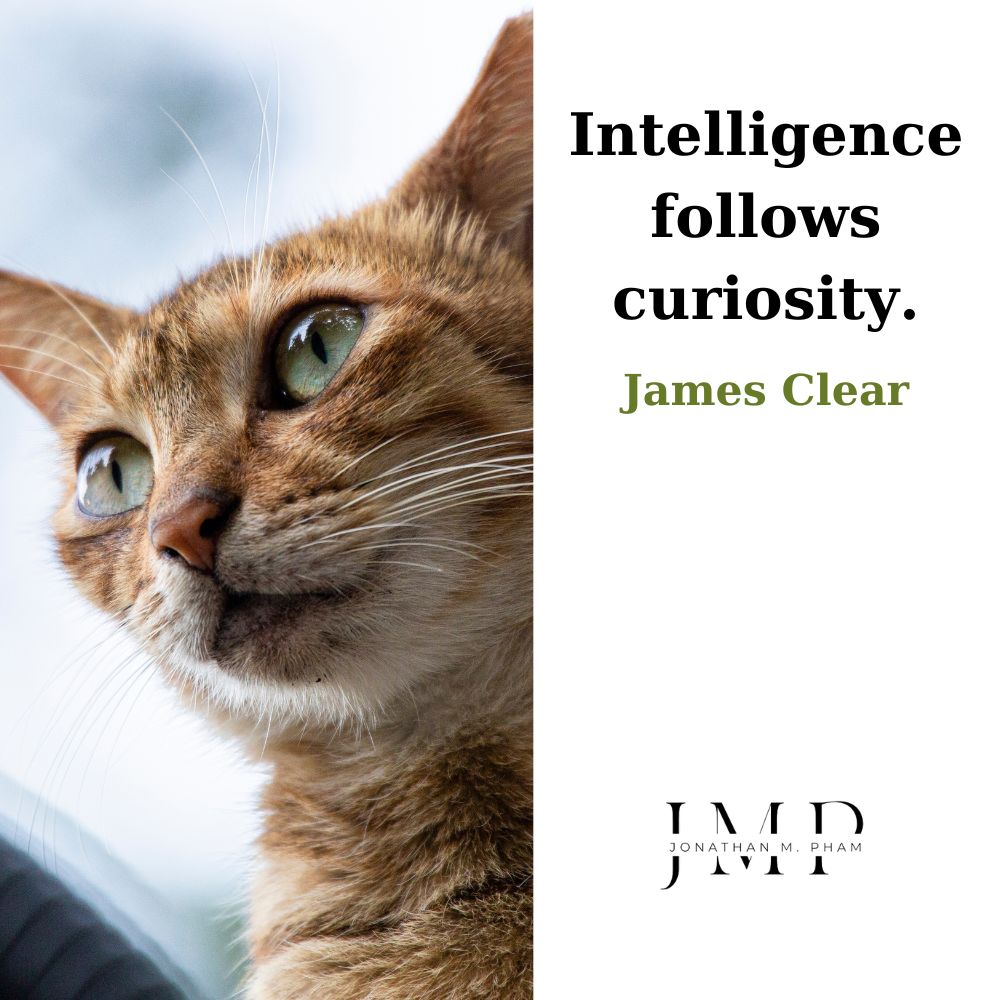 intelligence follows curiosity