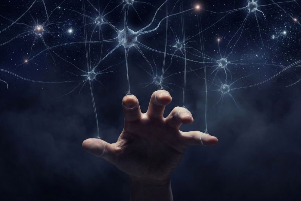 illusion of free will