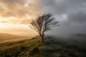 are humans inherently good or evil